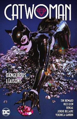 Catwoman Vol. 1: Dangerous Liaisons book
