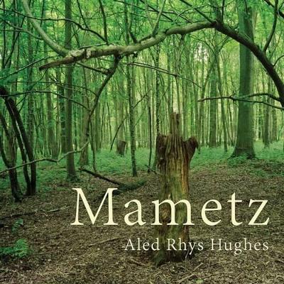 Mametz book