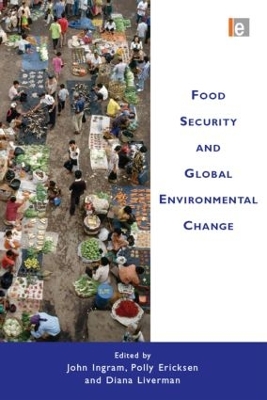 Food Security and Global Environmental Change by John Ingram