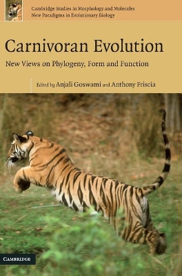 Carnivoran Evolution book