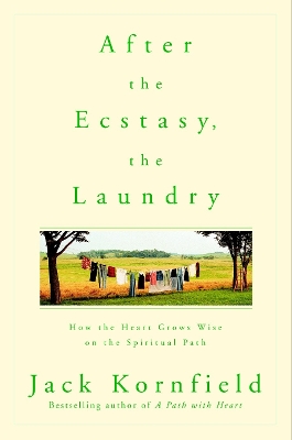 After the Ecstasy, the Laundry book