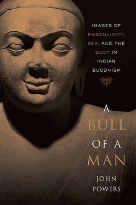 Bull of a Man book