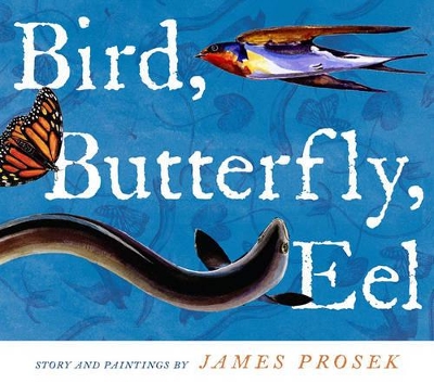 Bird, Butterfly, Eel book