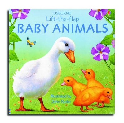 Baby Animals book