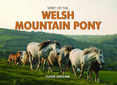 Spirit of the Welsh Mountain Pony book