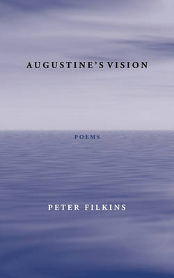 Augustine's Vision book