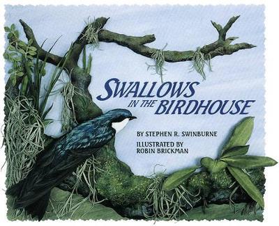 Swallows in the Birdhouse by Stephen R Swinburne