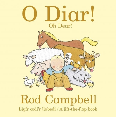 O Diar! Oh Dear!: Oh Dear! by Rod Campbell