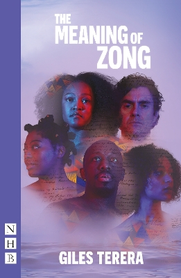 The Meaning of Zong book