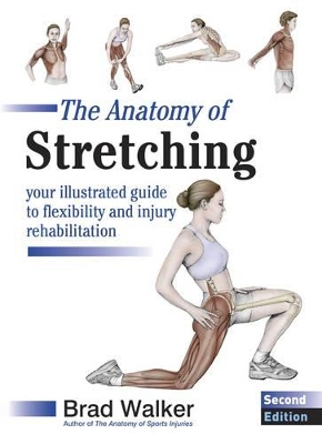 Anatomy of Stretching book