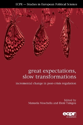 Great Expectations, Slow Transformations book