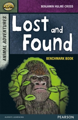Rapid Stage 7 Assessment book: Lost and Found book