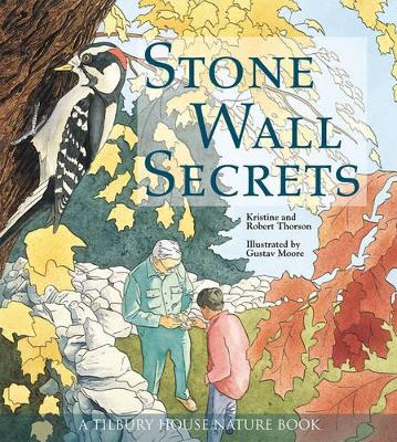 Stone Wall Secrets book