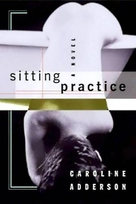 Sitting Practice book