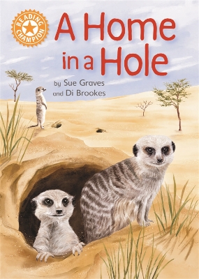 Reading Champion: A Home in a Hole: Independent Reading Orange 6 Non-fiction book