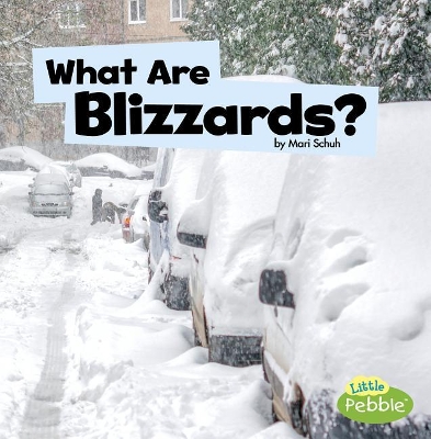 What Are Blizzards? book