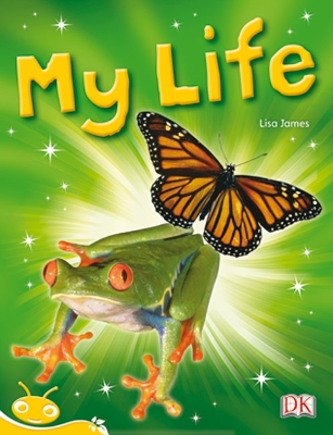 Bug Club Level 8 - Yellow: My Life (Reading Level 8/F&P Level E) book