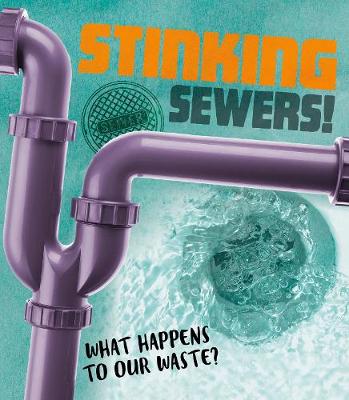 Stinking Sewers!: What happens to our waste? book