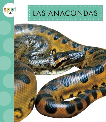 Las Anacondas by Alissa Thielges