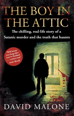 Boy in the Attic book