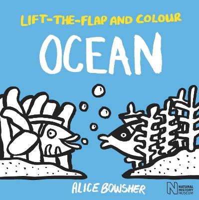 Lift-the-flap and Colour Ocean book