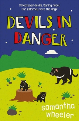Devils In Danger book
