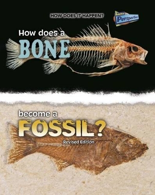 How Does a Bone Become a Fossil? by Melissa Stewart