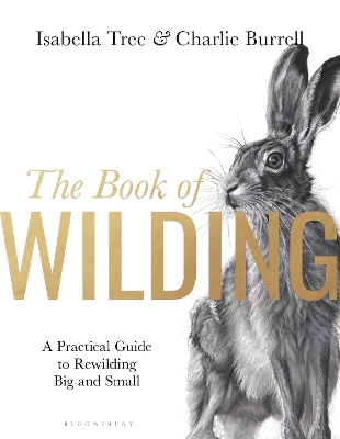 The Book of Wilding: A Practical Guide to Rewilding, Big and Small by Isabella Tree