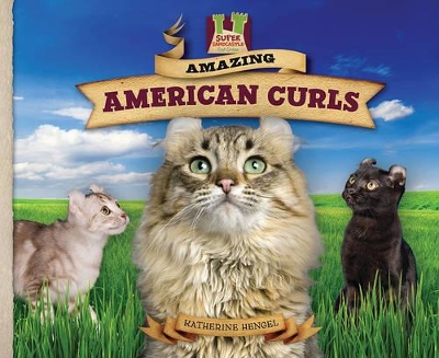 Amazing American Curls book