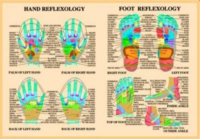 Hand & Foot Reflexology -- A2 book