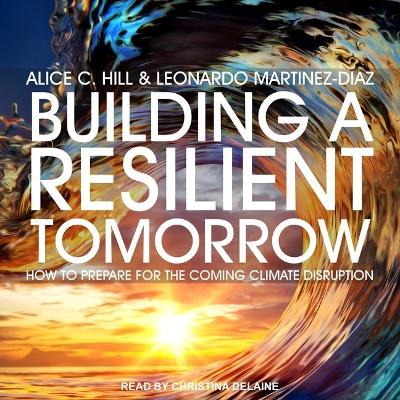 Building a Resilient Tomorrow: How to Prepare for the Coming Climate Disruption by Alice C. Hill