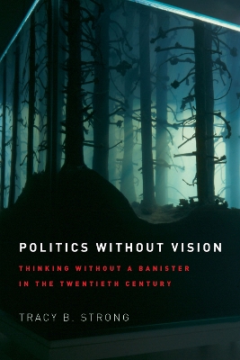 Politics without Vision book