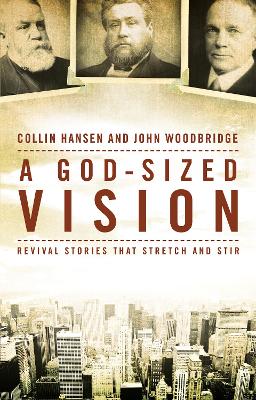 God-Sized Vision book