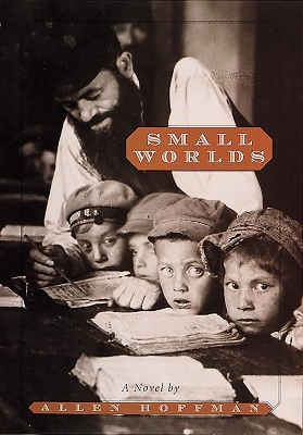 Small Worlds book