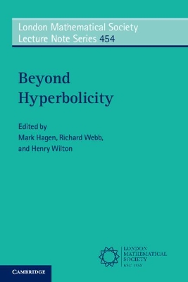 Beyond Hyperbolicity book