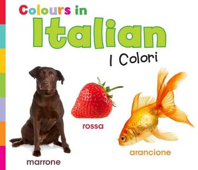 Colours in Italian: I Colori book