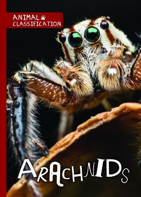 Arachnids by Joanna Brundle