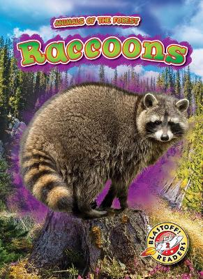 Raccoons by Al Albertson