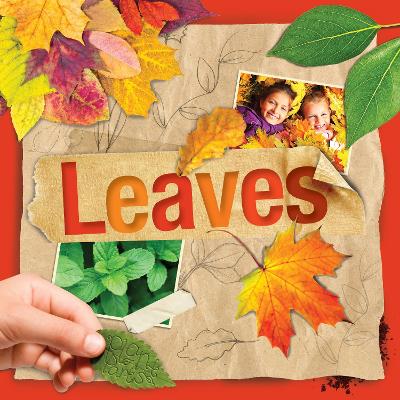 Leaves by Steffi Cavell-Clarke
