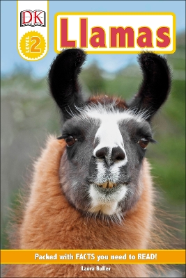 Llamas book