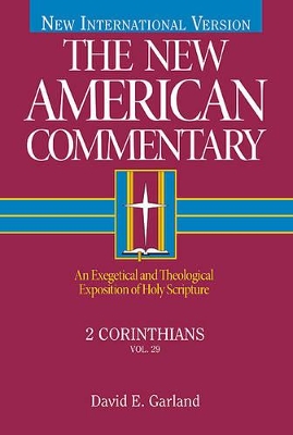 New American Commentary book