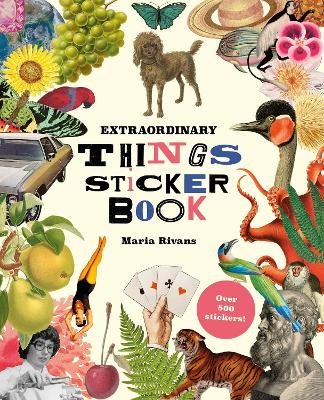 Extraordinary Things Sticker Book book
