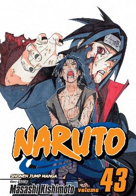 Naruto, Vol. 43 book