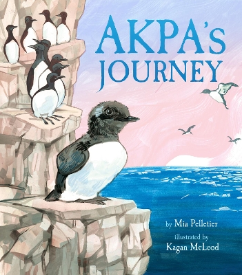 Akpa's Journey book