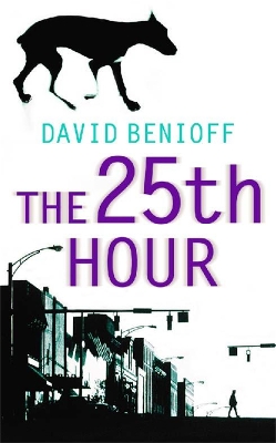 25th Hour book