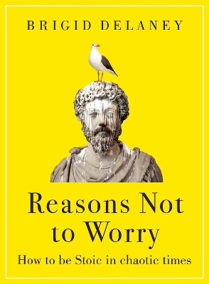 Reasons Not to Worry: How to be Stoic in chaotic times book