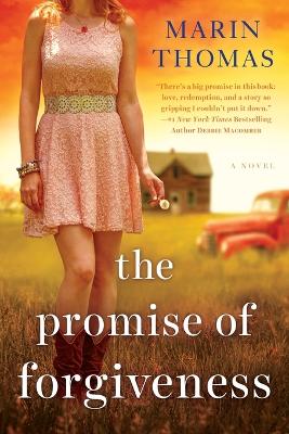 Promise of Forgiveness book