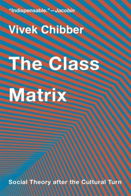 The Class Matrix: Social Theory after the Cultural Turn book