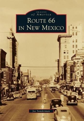 Route 66 in New Mexico book