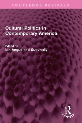 Cultural Politics in Contemporary America book